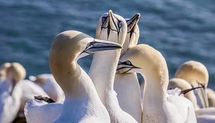 爱游戏在线娱乐官网-西甲战斗激烈，球员反馈赛后感受，西甲战果