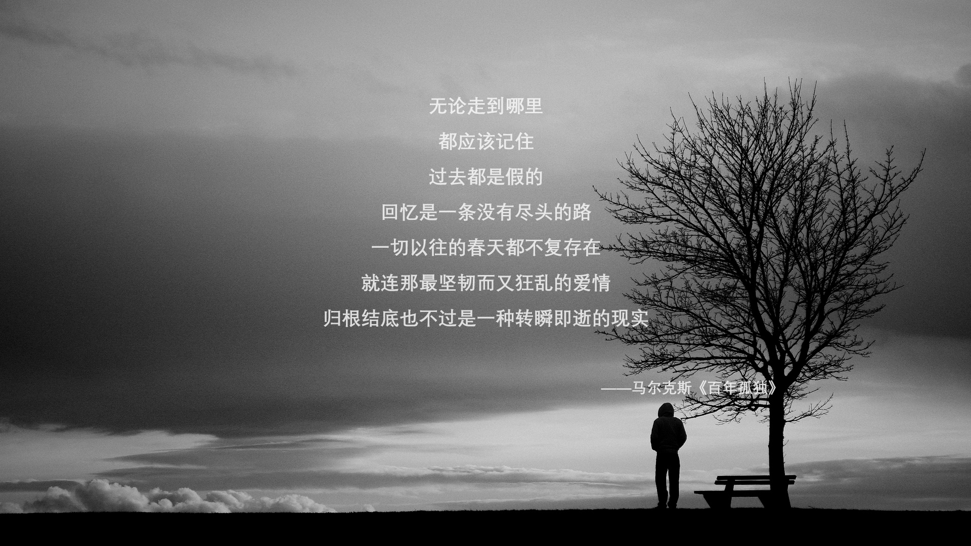 东契奇多项数据刷新赛季纪录，东契奇常规赛得分