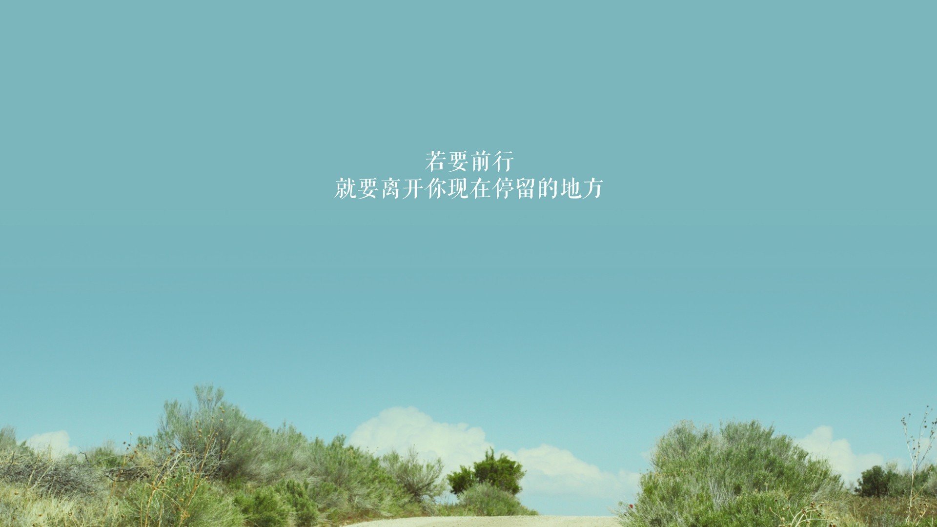 柏林赫塔主场击败对手，继续追赶领头羊，柏林赫塔队
