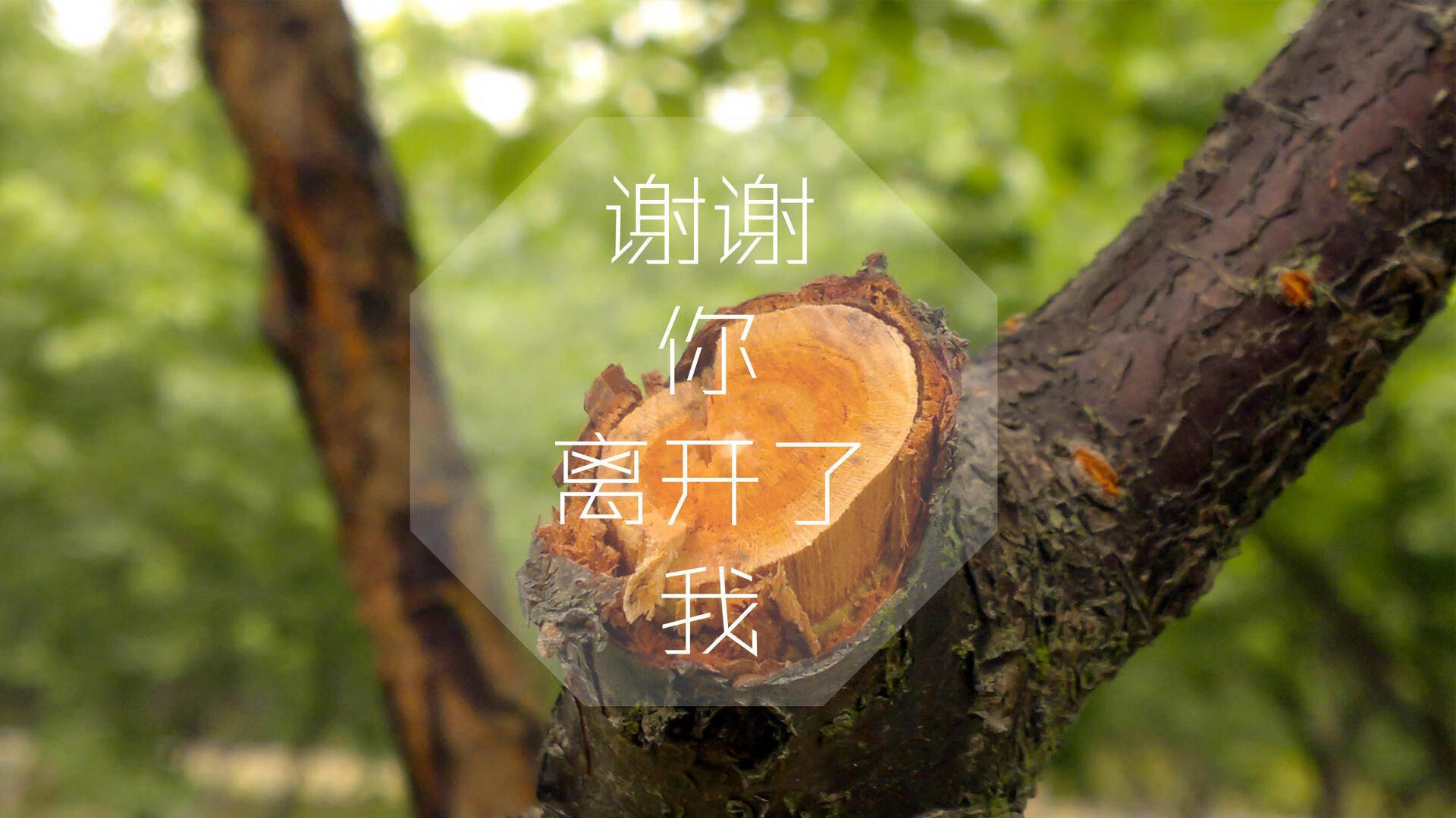 格拉纳达主场大胜，迅速拉近和西甲前四的距离，格拉纳达vs