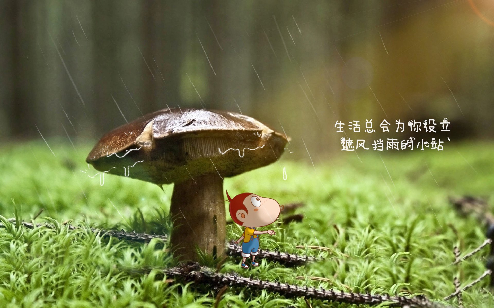 瑞士队主场平局，欧洲杯出线形势严峻，瑞士欧洲杯战况