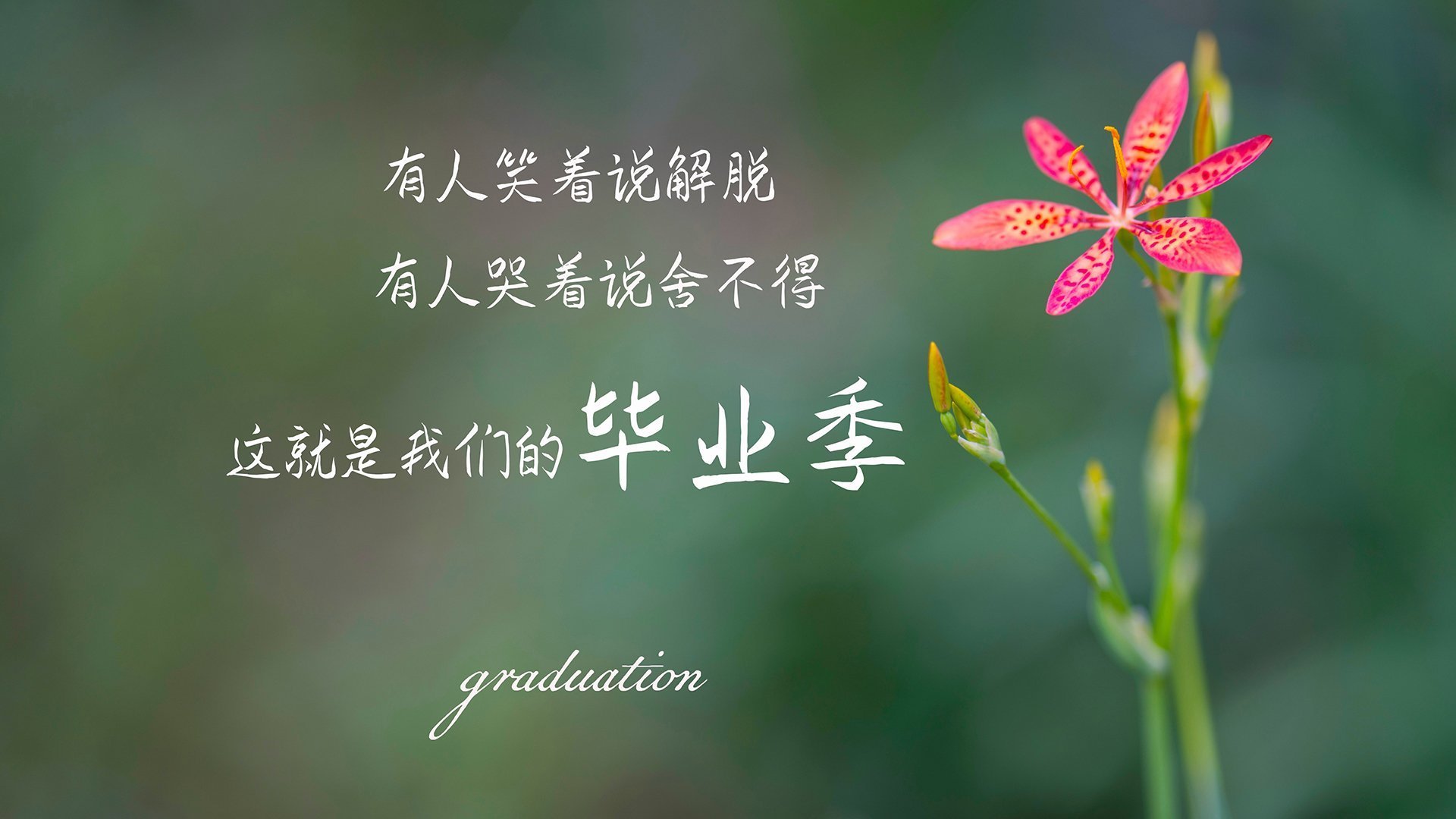 体育新闻中心上线智能体育新闻内容编辑平台，体育新闻网址大全
