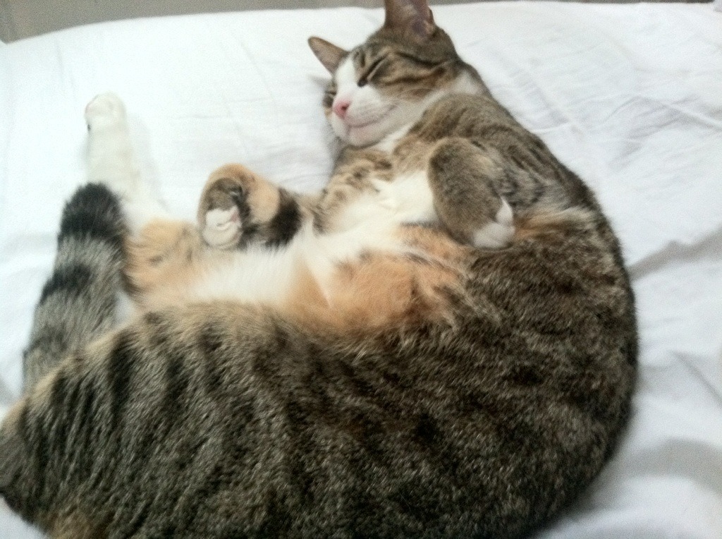 球队通过心理辅导缓解比赛压力提升临场决策与专注力，足球心理训练对于青少年球员产生的影响