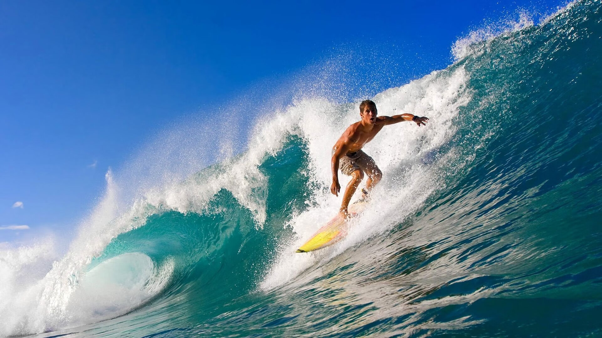 _荒野越野跑：在自然之间追逐自由_，荒野穿越野外生存小说